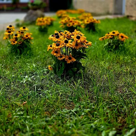 Gemuetliche L Apartment