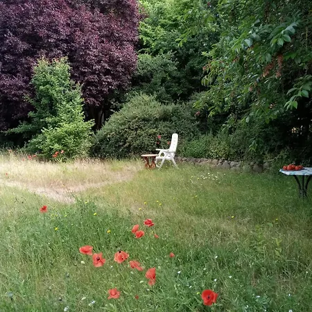 Apartment Gemuetliche L Dequede