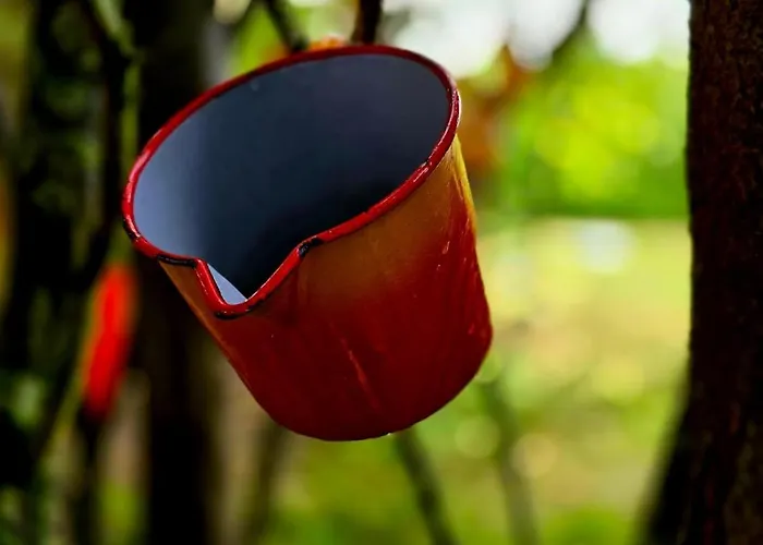 Apartment Gemuetliche L *