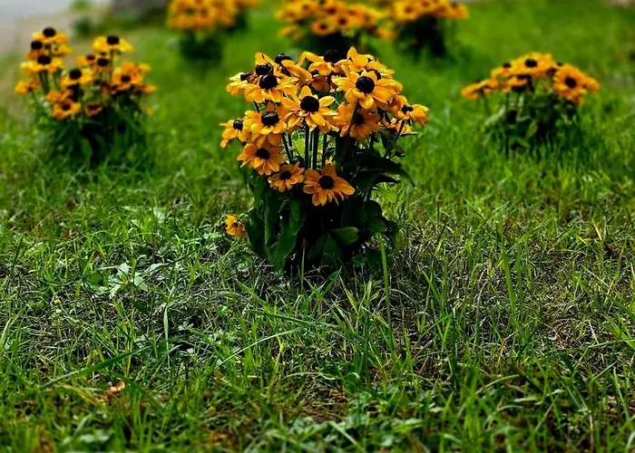 Gemuetliche L Apartment