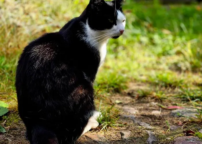 Gemuetliche L Dequede