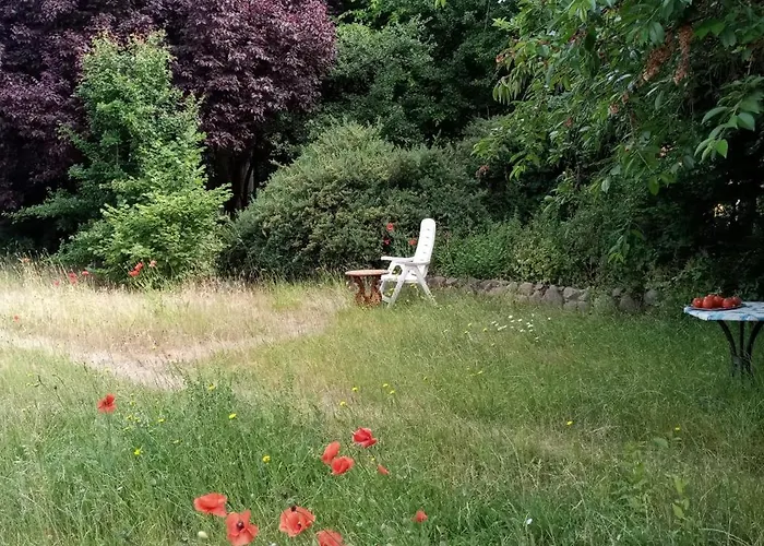 Apartment Gemuetliche L Dequede